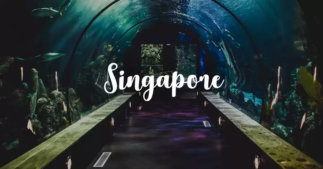 Image 1 of Serene Singapore 