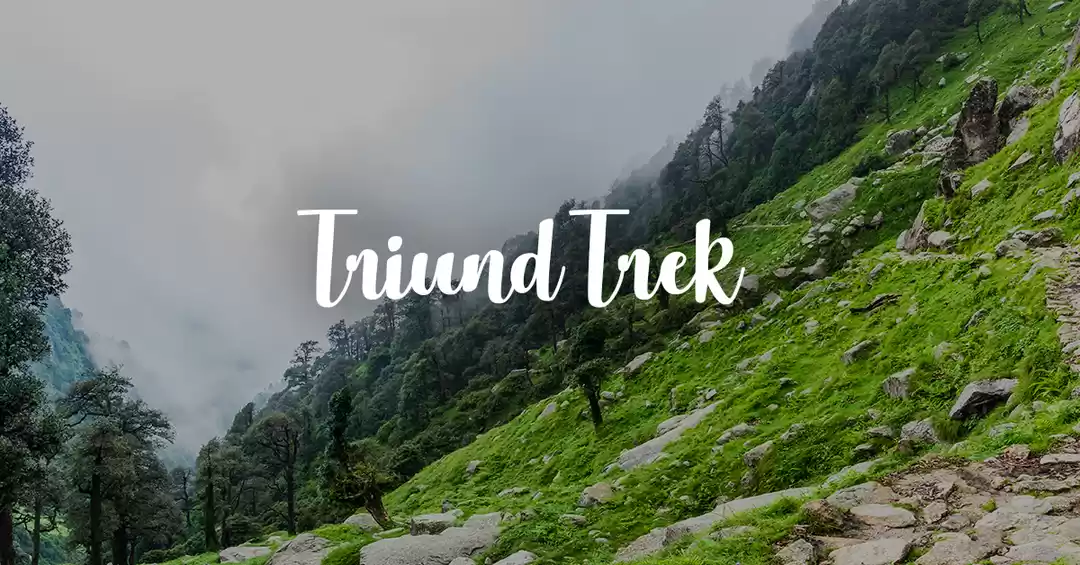 Image 1 of 2 Days of Camping in Triund