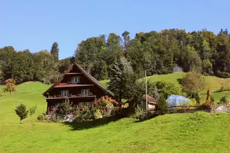 Photo of All You Need To