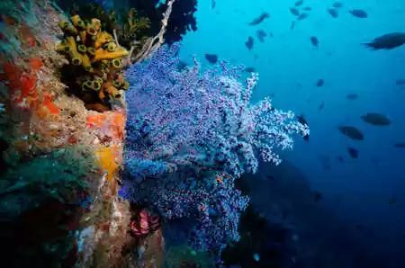 Photo of Water Sports In