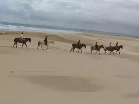 Photo of Surf, Dive, Jum