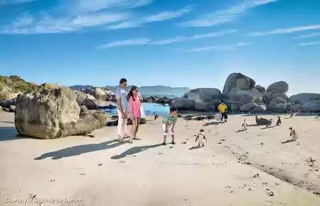 Photo of Family Trip To 