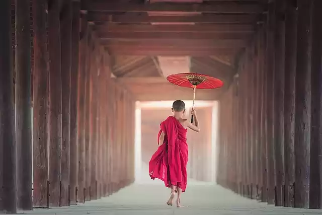 Photo of Myanmar Solo Tr