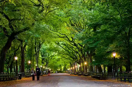 Photo of One Week NYC It
