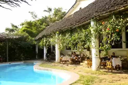 Photo of Distant Relativ