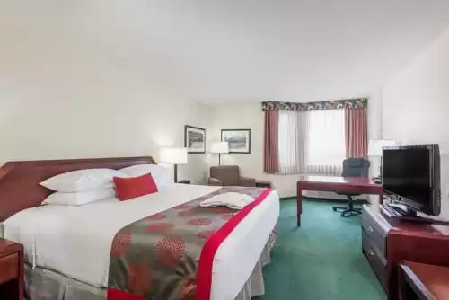 Photo of Ramada Plaza