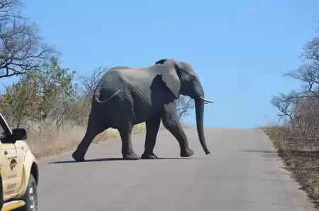 Photo of 10 Days Guide