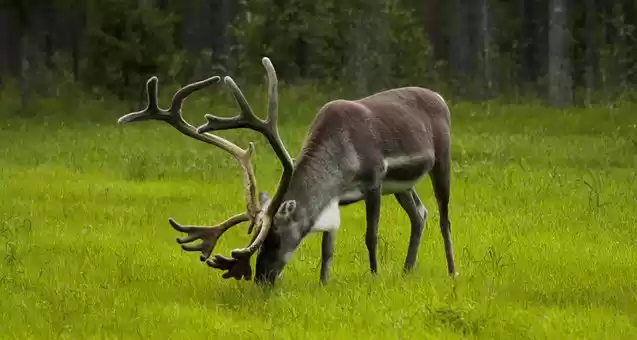 Photo of Finland Beyond 
