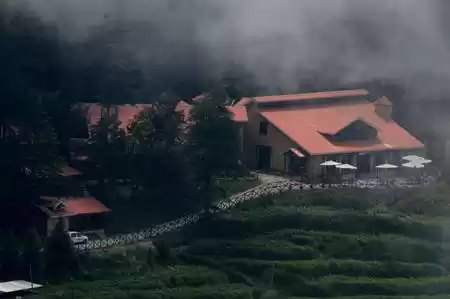 Photo of Dalhousie Luxur
