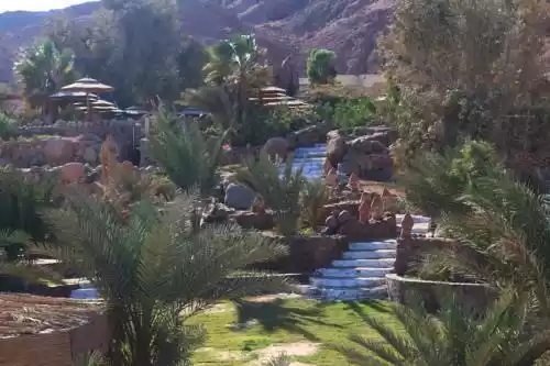 Photo of The Bedouin Moo