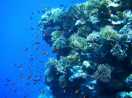 Photo of Sharm-El-Sheikh