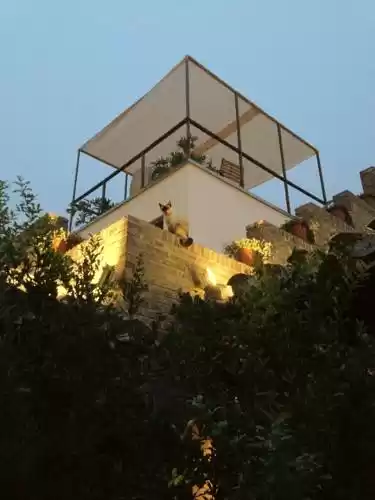 Photo of The Orchid Hote