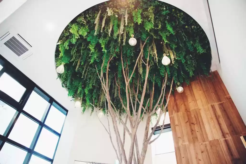 Photo of Planetyze Hoste