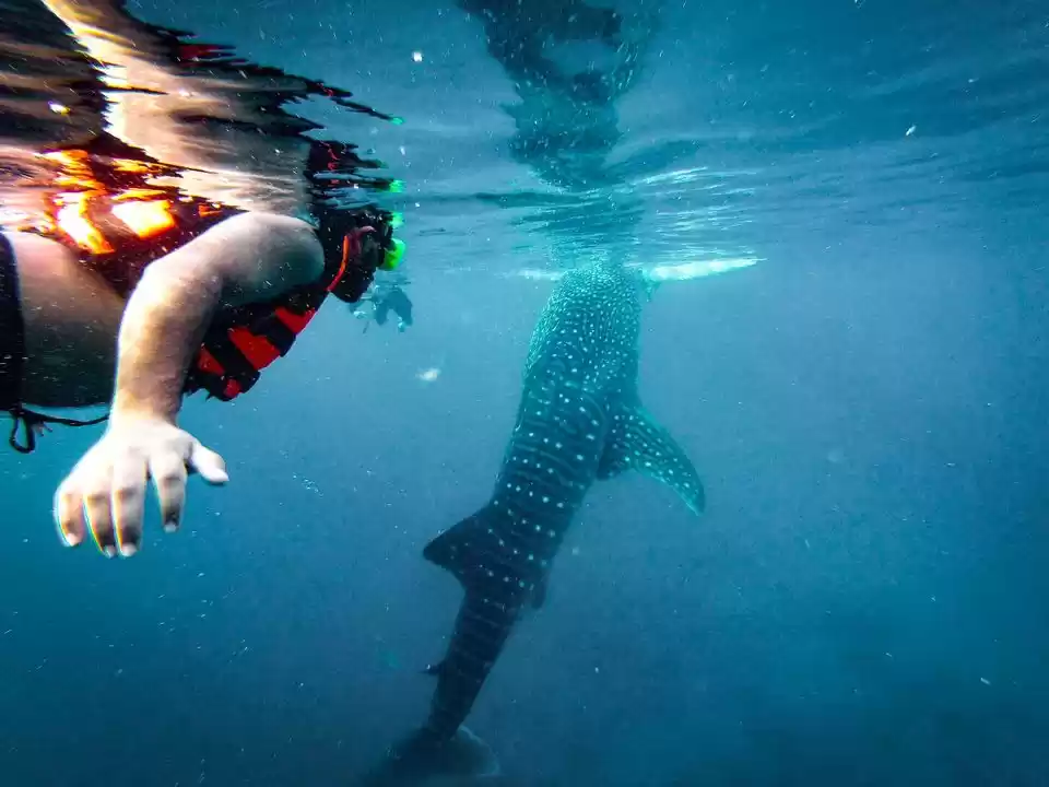 Photo of Backpacking In 