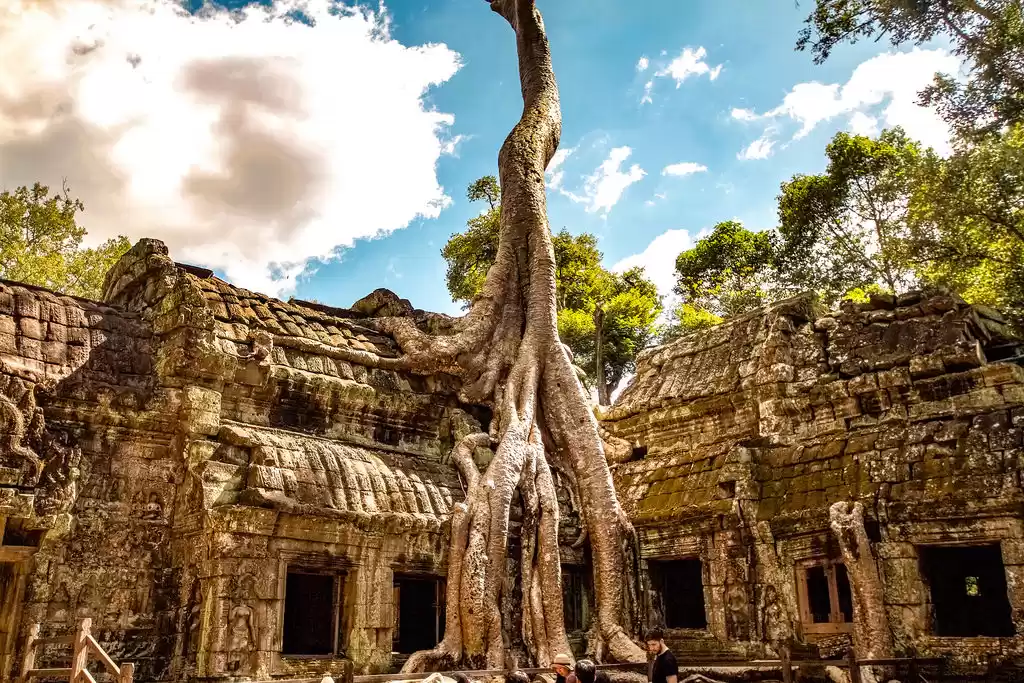 Photo of Ta Prohm