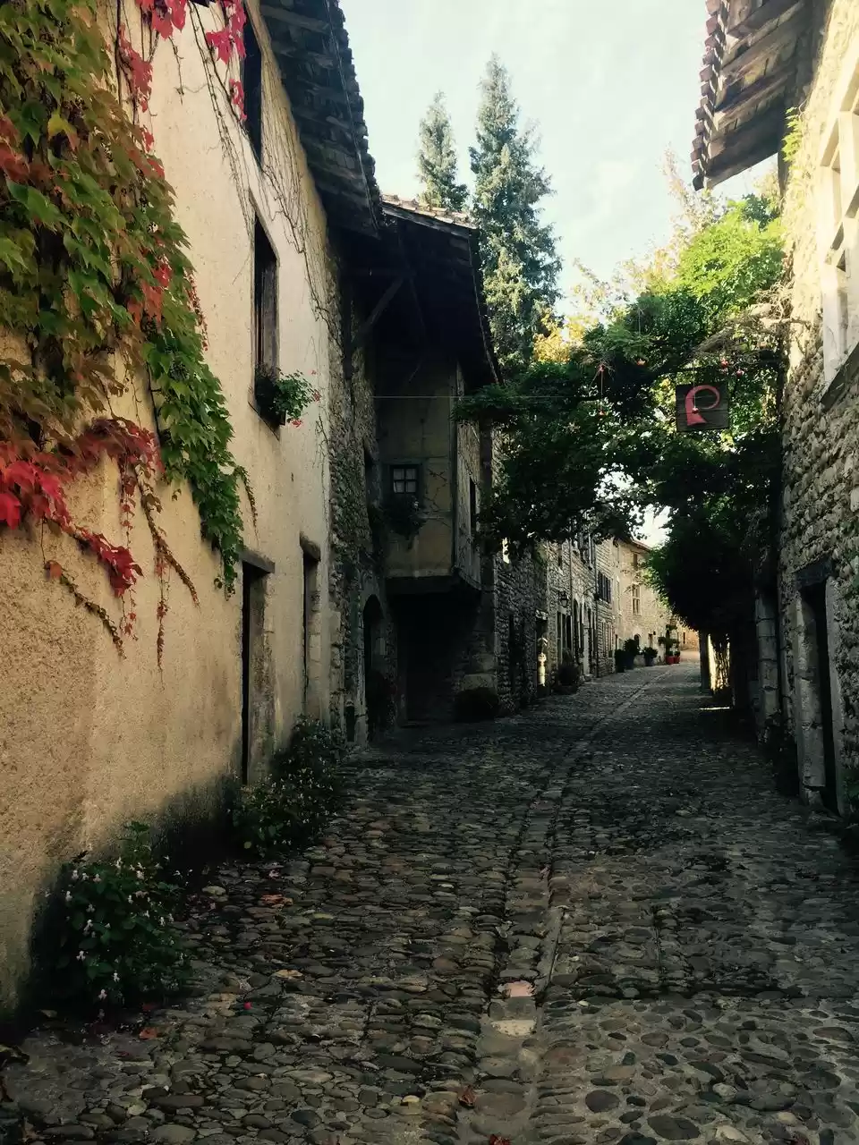 Photo of 15 Days Guide