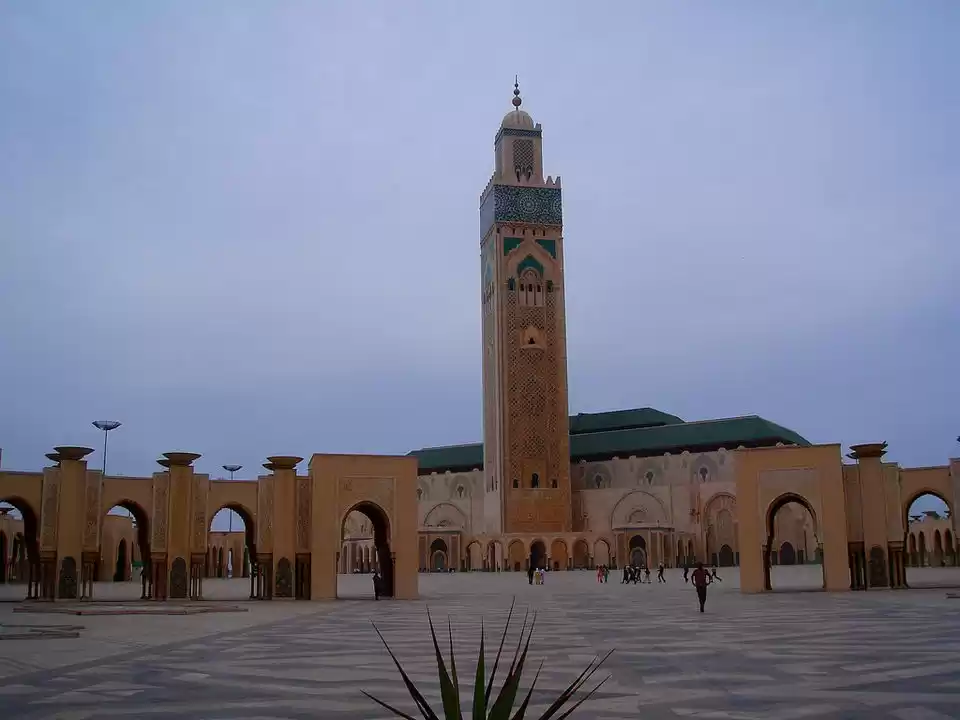 Photo of 10 Days Guide