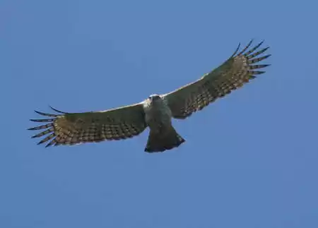 Photo of Visit to North 