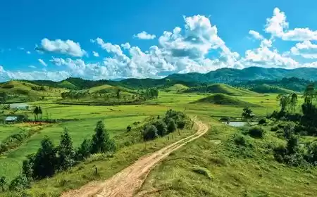 Photo of This Green Vall