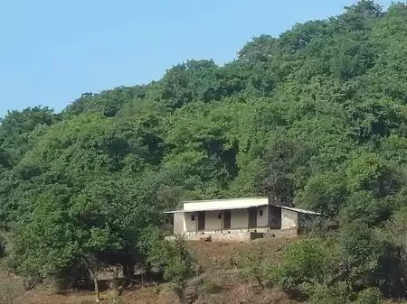 Photo of Bhimashankar Wi