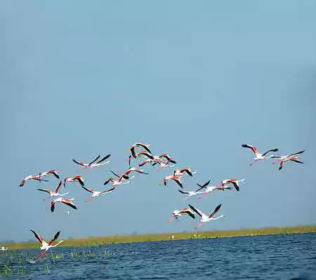 Photo of Bird Sanctuarie