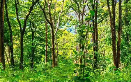 Photo of Only Home For I