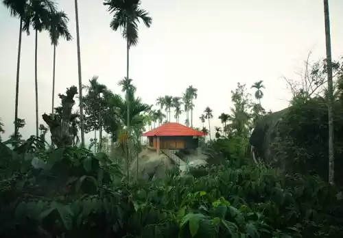 Photo of Marmalade Sprin