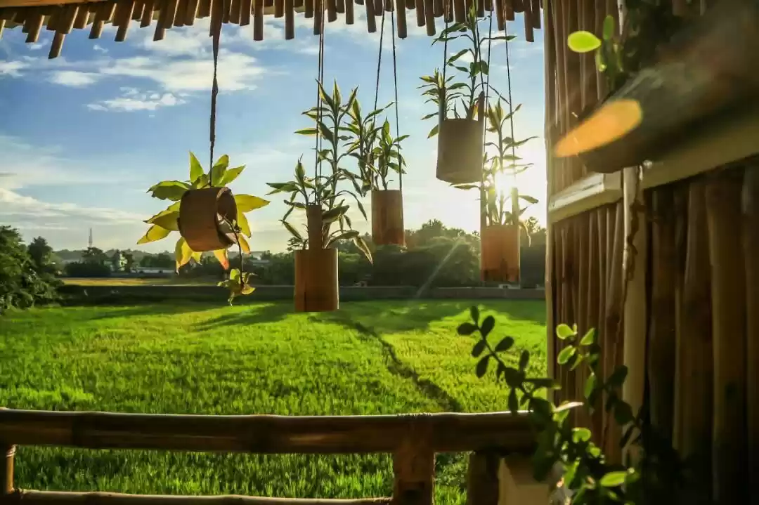 Photo of Longchen Homest