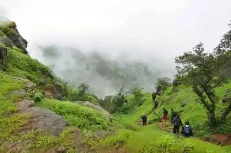 Photo of Best Places To 