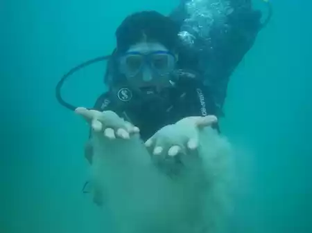 Photo of First Time Scub