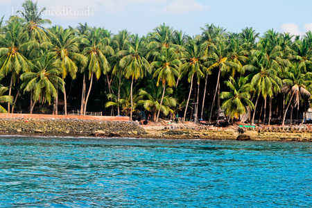 Lovely Lakshadweep Islands 2021 Things To Do Places To Visit Best Hotels A number of passenger ships operate from kochi (cochin) to lakshadweep. lovely lakshadweep islands 2021