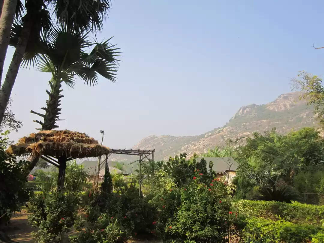 Photo of A Spontaneous T