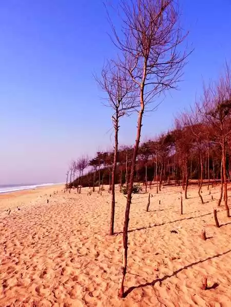 Photo of Chandrabhaga 