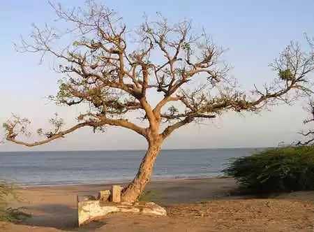 Photo of Must Visit Plac