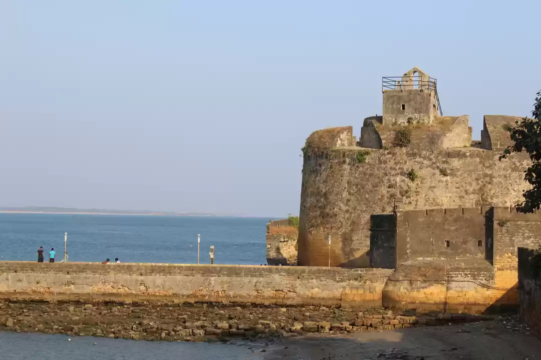 Photo of The Ultimate Gu