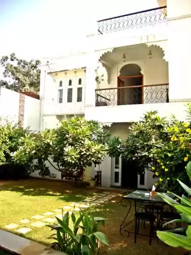 Photo of Hibiscus Guest 