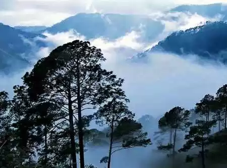 Photo of South India's O