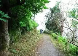 Photo of Kasauli Nature 