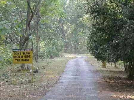 Photo of Everything To S