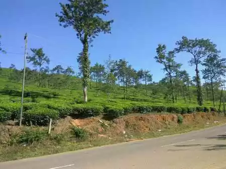 Photo of 72-Hour Guide