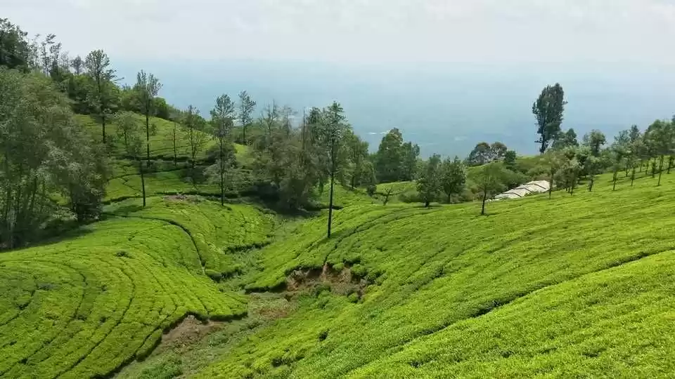 Photo of 48-Hour Guide