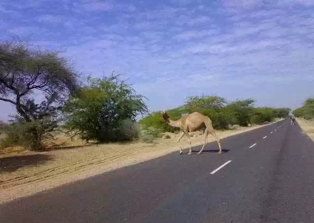 Photo of Jaisalmer With 