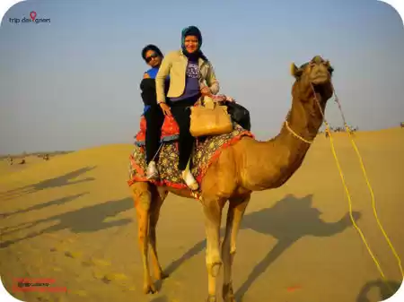 Photo of Poetry In Sands