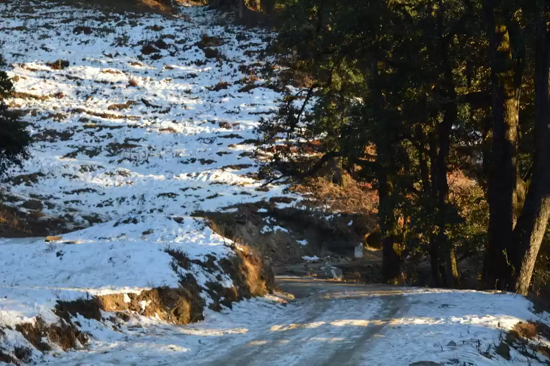 Photo of 4-Day Guide