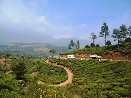 Photo of 48-Hour Guide