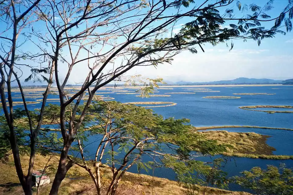 Life on the mesmerizing Loktak lake Manipur  His Travel Instincts