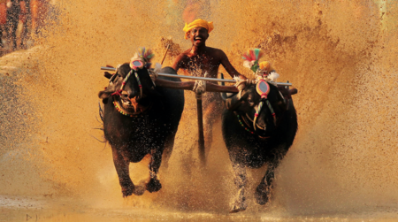 Photo of 7 Day Travel Gu