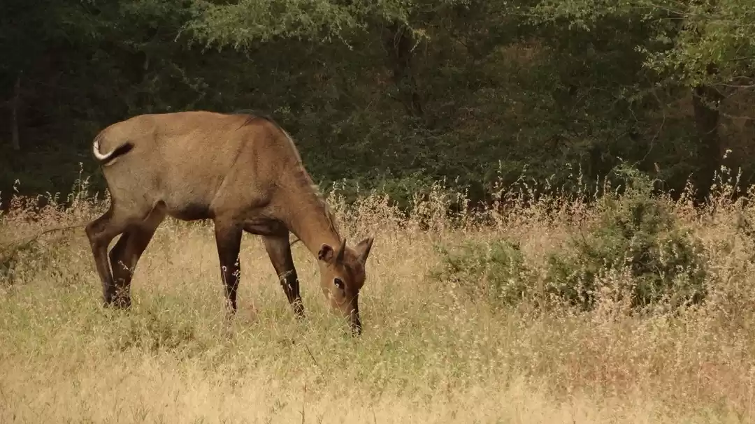 Photo of A Solo Trip Tha