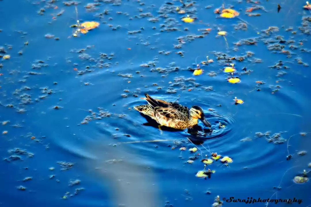 Photo of 72-Hour Guide