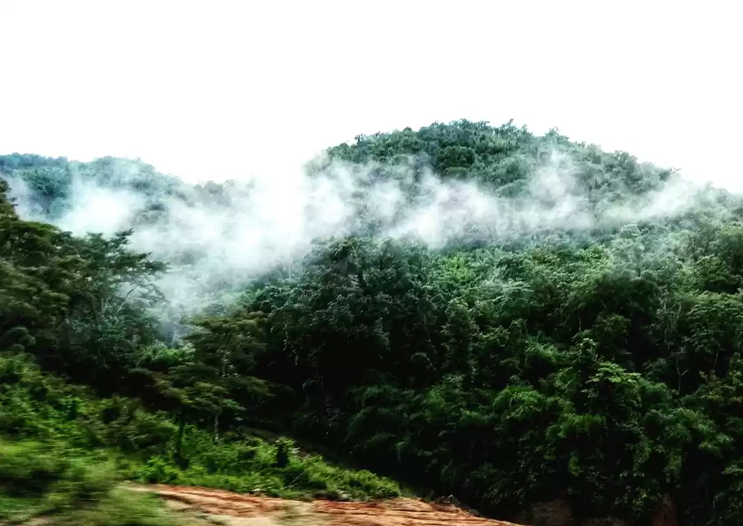 Photo of Halflong East